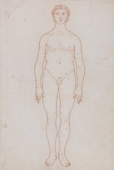 Esposizione Anatomica Comparativa della Struttura del Corpo Umano con quella di una Tigre e di un Co... da George Stubbs